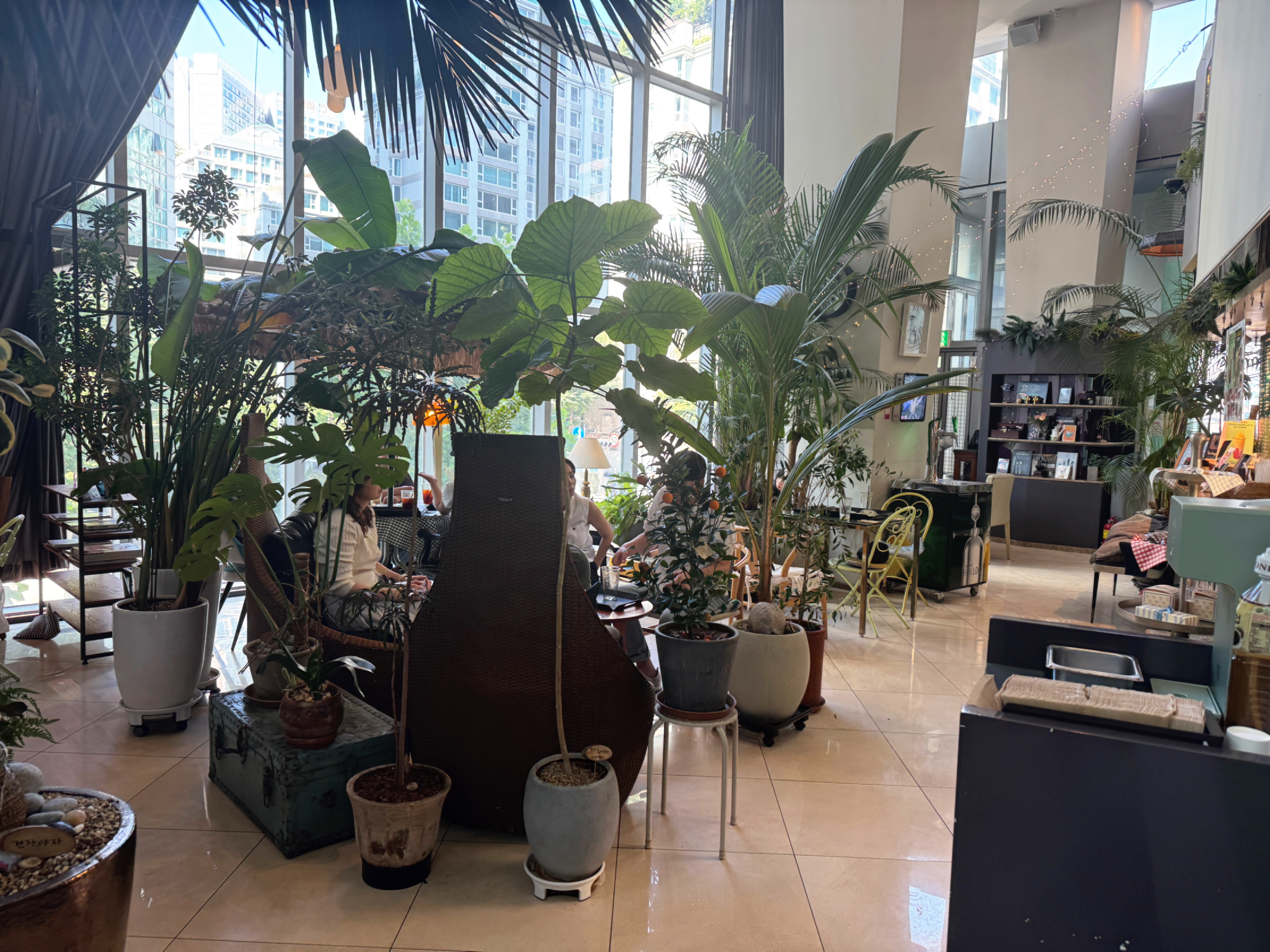 정자동 엑성프로방스 카페 1층 내부 &ndash; 큰 창과 식물들로 가득한 아늑한 분위기
