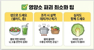 양배추즙의 효능