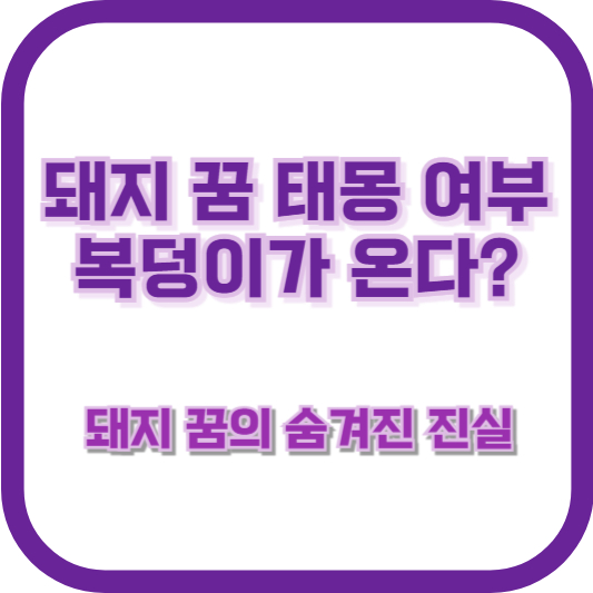 [돼지 꿈 태몽 여부] 복덩이가 온다? 돼지 꿈의 숨겨진 진실
