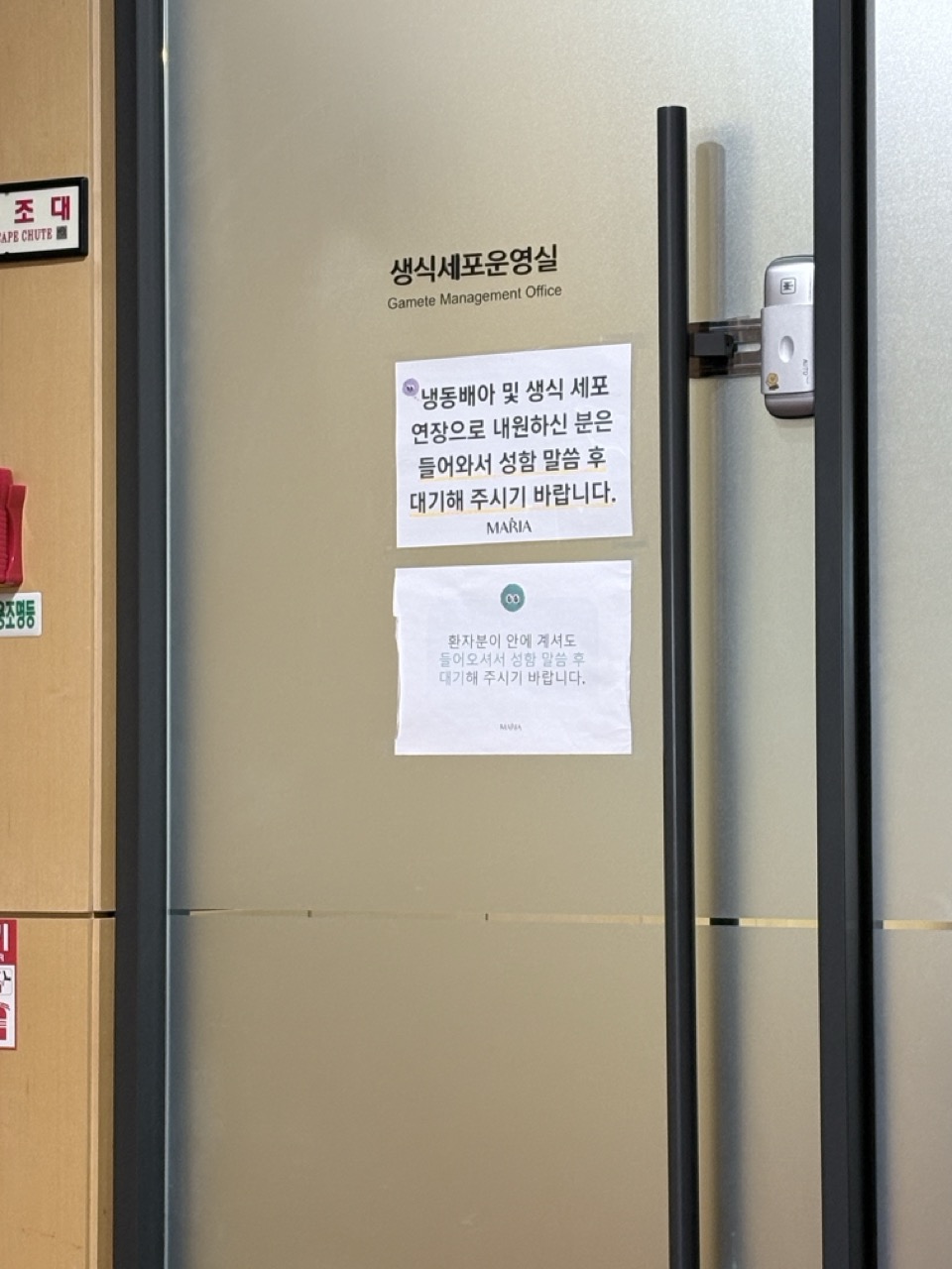 동결배아 이관 후기