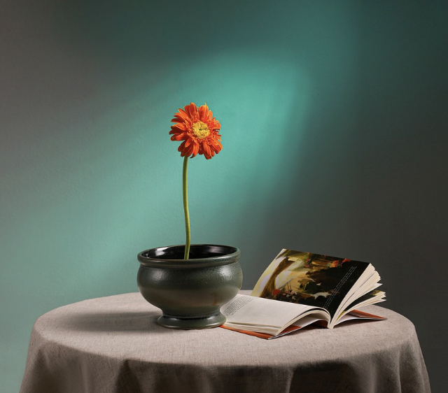 AI 디자인툴 비교: Canva, Adobe Express, Microsoft Designer