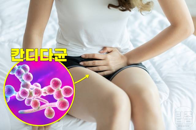 우유 끊으면 우유끊기 칸디다 질염