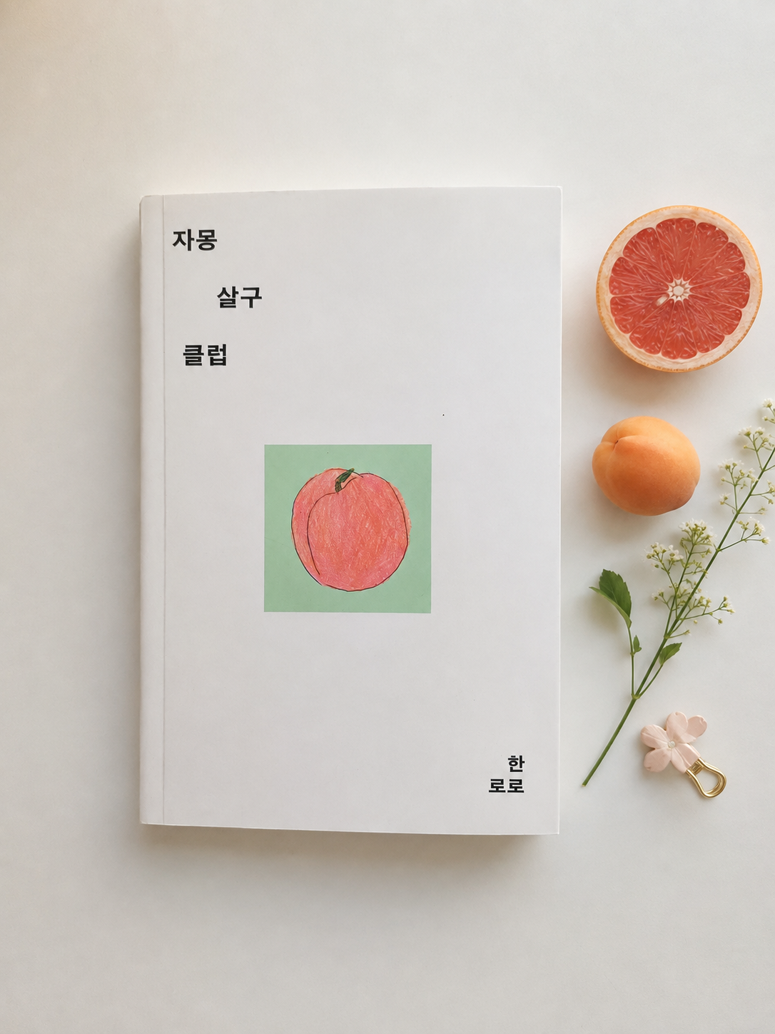 한로로의 자몽살구클럽 표지 책리뷰 줄거리 해석
