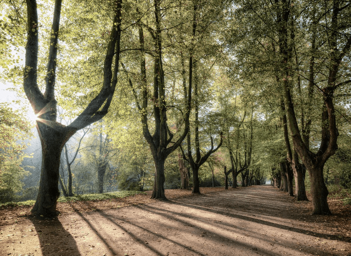 한라산 백록샘 최초 개방 예약방법 