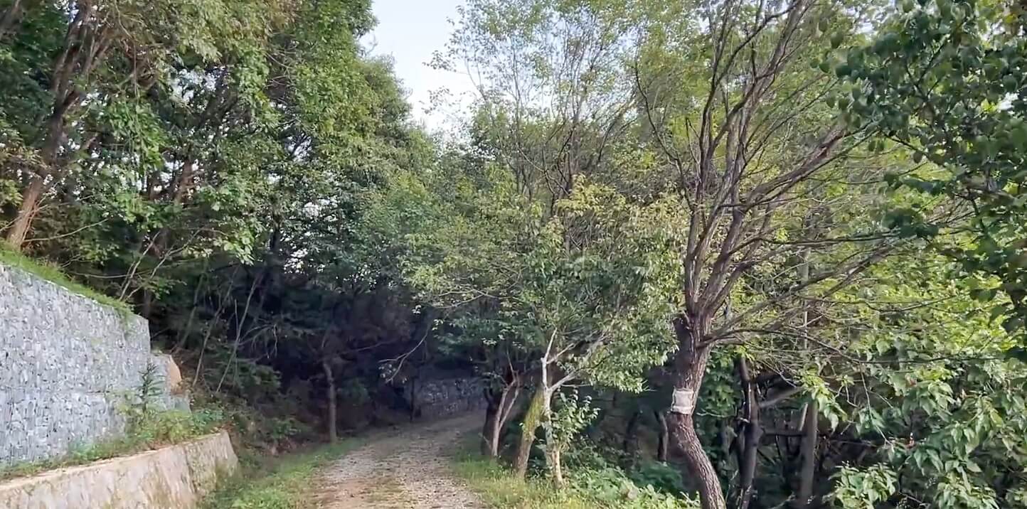 수레의-산-자연휴양림
