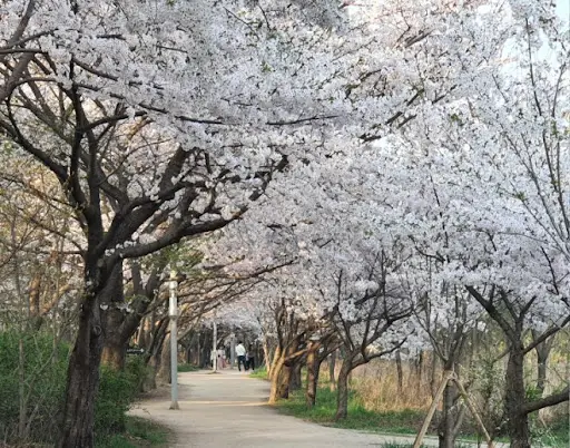 장봉도2