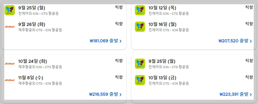 삿포로 항공권