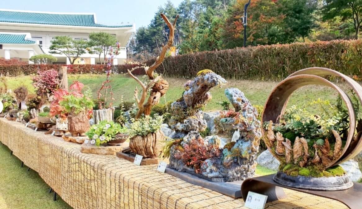 청남대-꽃-문화-축제-영춘제-사진-2