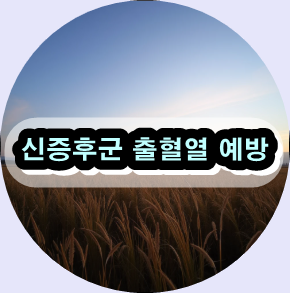신증후군 출혈열 예방수칙,한타바이러스 증상,출혈열 백신 접종,신증후군 출혈열 치료법,늦가을 감염병 경보,신장 기능 이상 증상,바이러스성 출혈열,감염병 예방 생활수칙,들쥐 바이러스 감염,출혈열 사례 보고