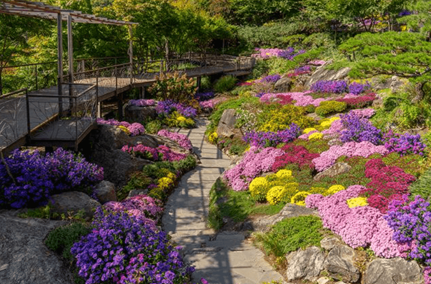 화담숲 단풍축제 입장료 모노레일 예약