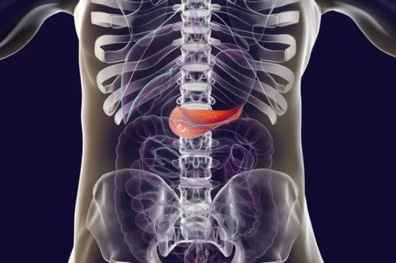 췌장의 역할 췌장암 검사 췌장암 검사종류 췌장암 검사방법