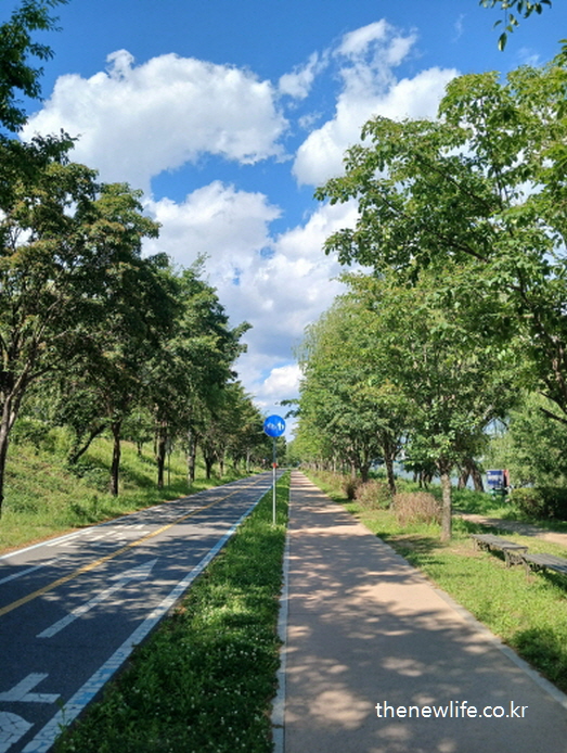 한강변 자전거 도로와 인접한 산책길 전경-탄수화물 중독에서 벗어나 집중력, 기분, 정신 상태 모두 좋아진다는것을 강조하는 이미지