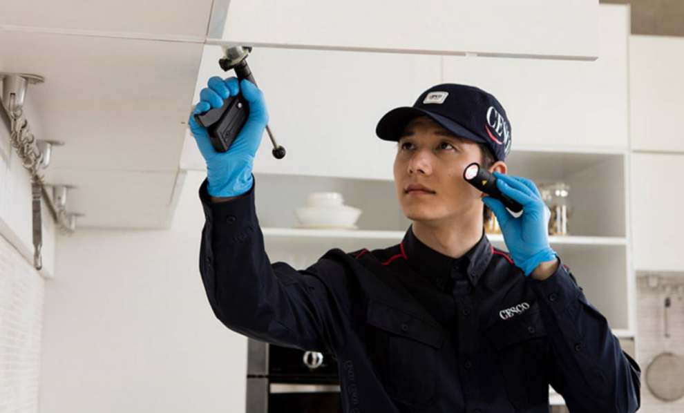 세스코 가정집 비용