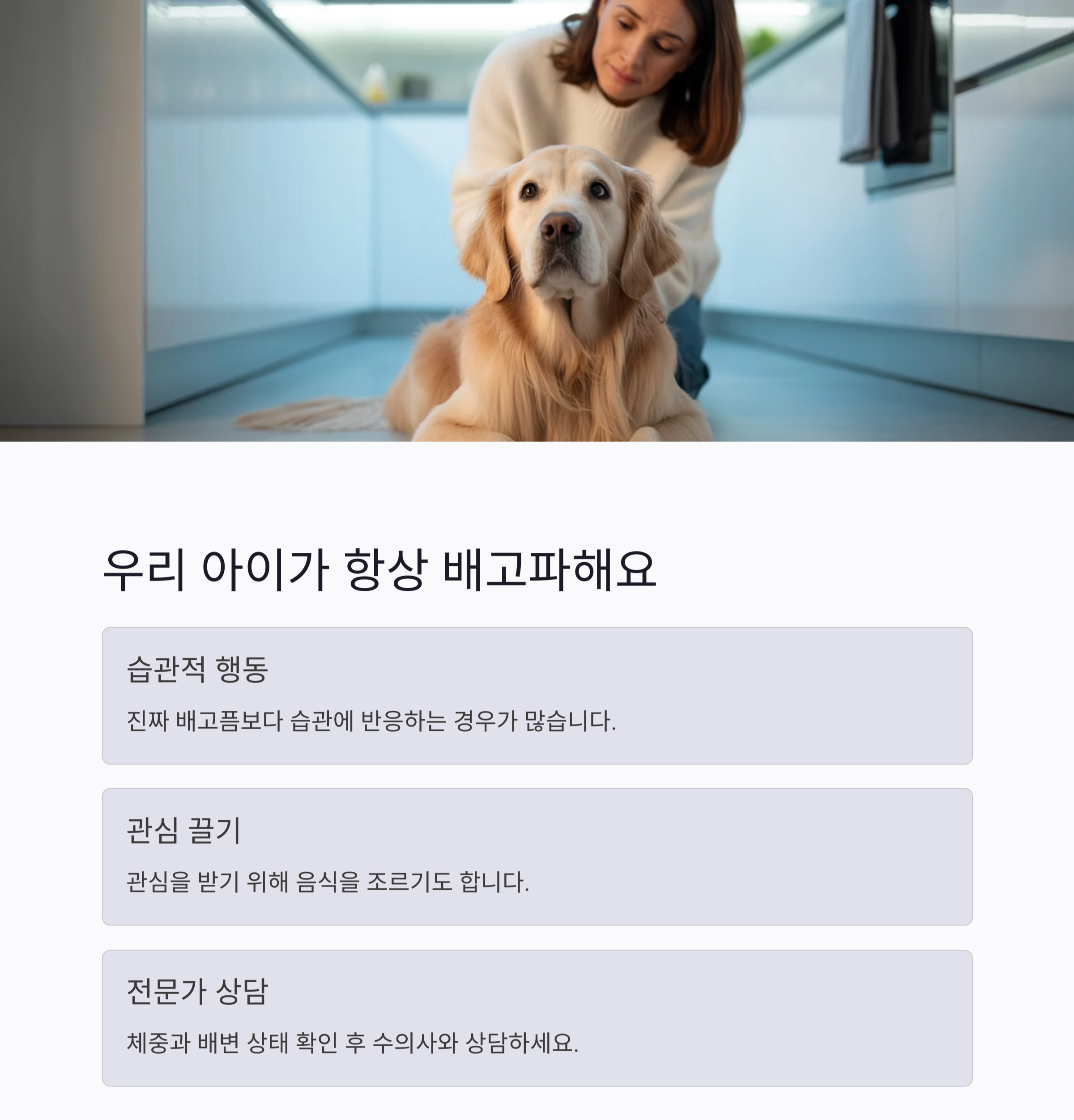 반려동물 사료, 체중에 맞춰 정확히 급여하는 법