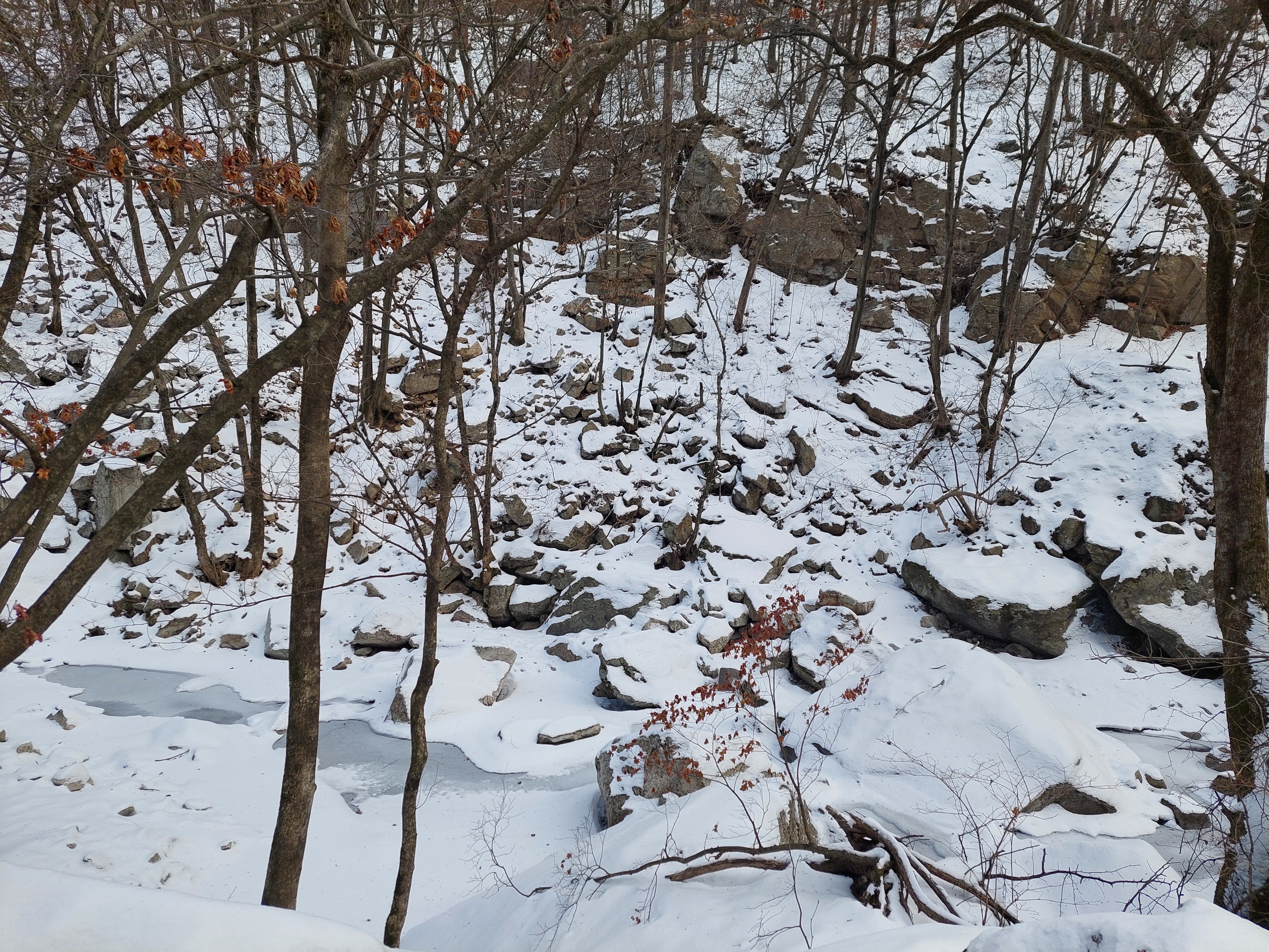 유명산