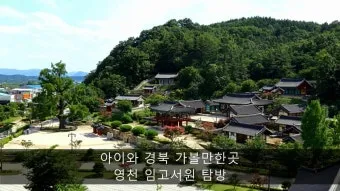 영천 가볼만한곳 맛집 카페 추천 여름 사진 명소_2
