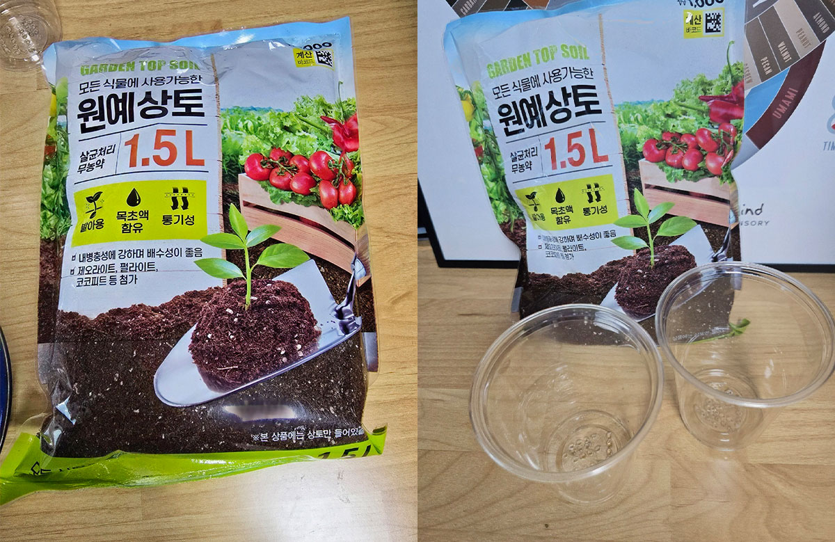 원예 상토와 커피 잔