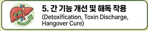 쑥 효능