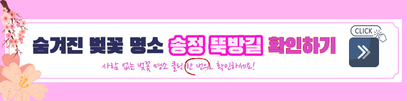 벚꽃-벚꽃 명소-벚꽃길-벚꽃 축제-2023 벚꽃 명소-2023 벚꽃 축제-전국 벚꽃 개화 시기