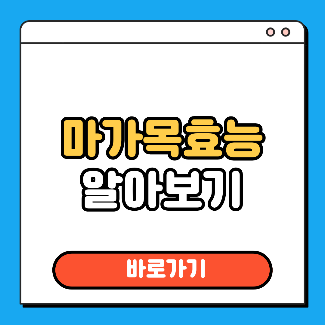마가목효능 알아보기