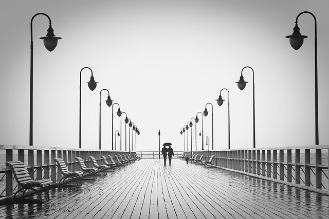 포모&amp;#44; 포모증후군 뜻&amp;#44; FOMO&amp;#44; 포모 뜻&amp;#44; 포모족 뜻&amp;#44; 뽀모도로 뜻