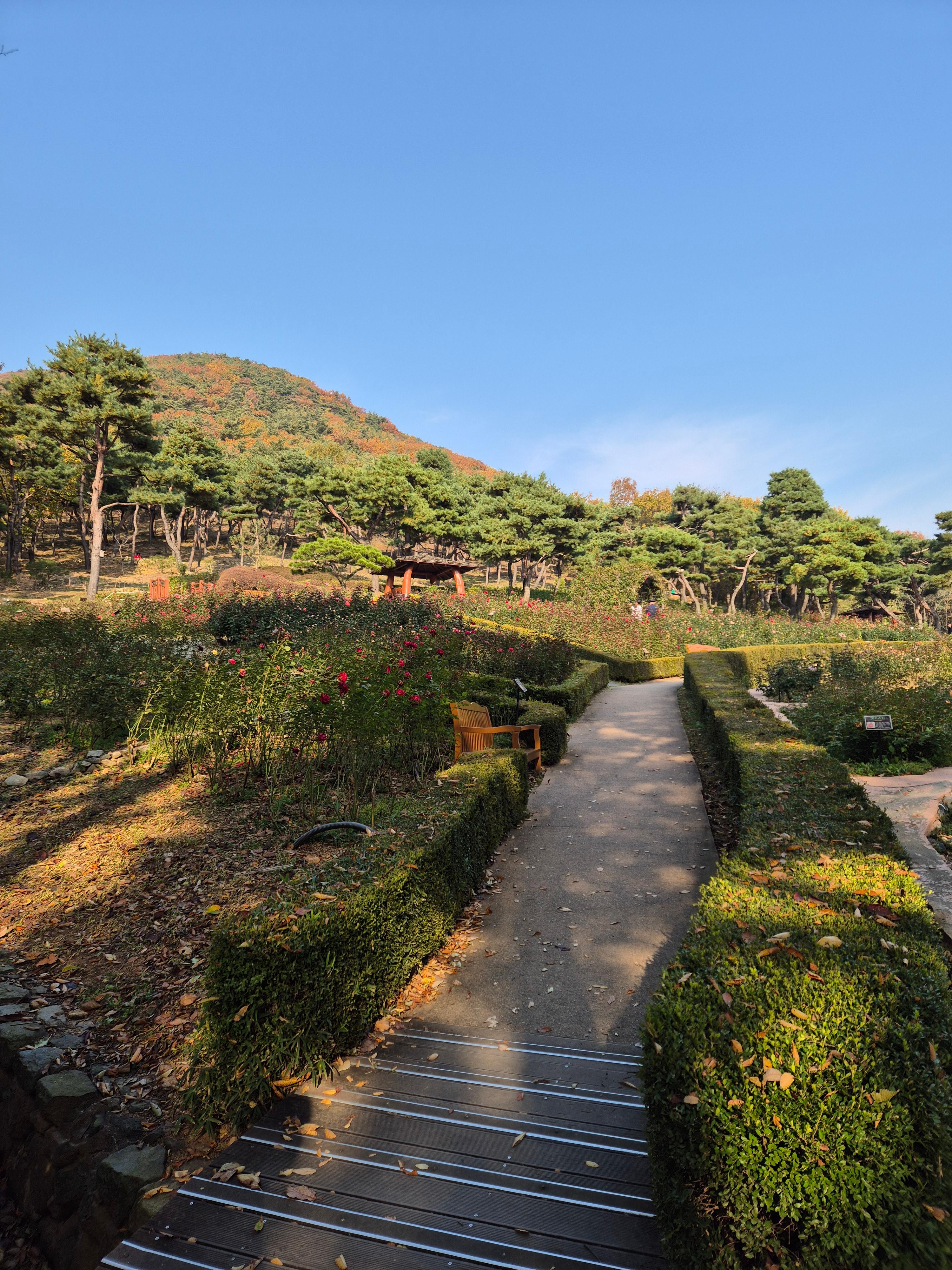 계양산 인천둘레길 내려오는 길