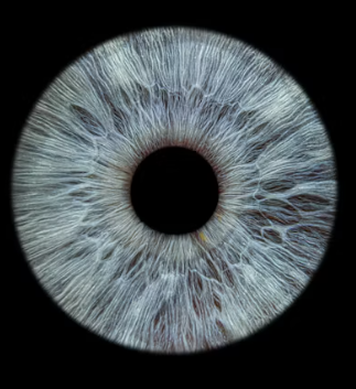 노안 수술 실비보험 가격 비용