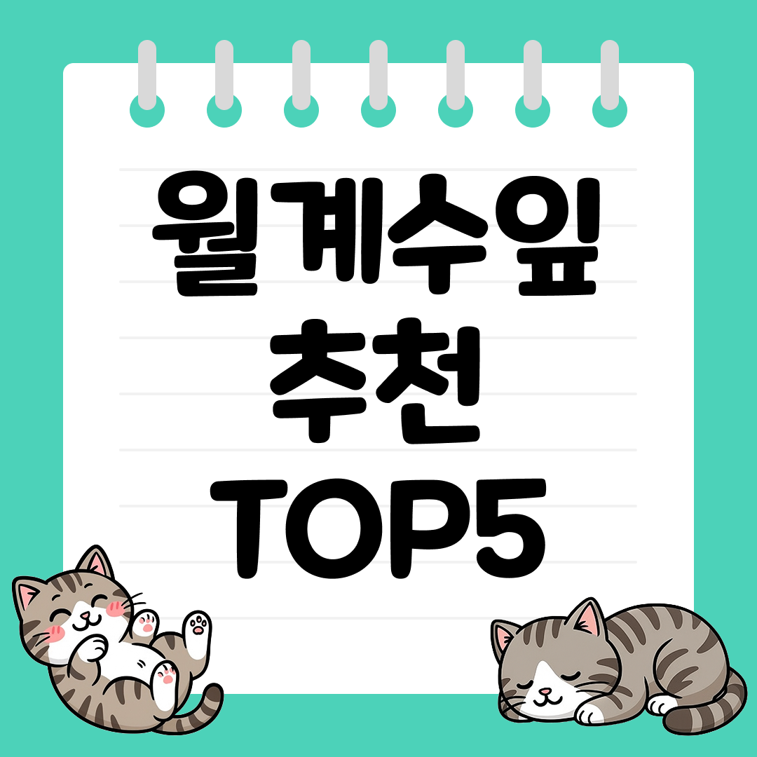 잡냄새 제거와 풍미 강화에 좋은 월계수잎 추천 TOP5