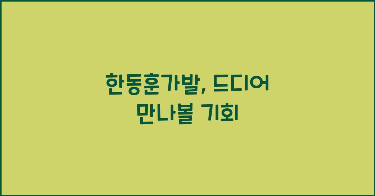한동훈가발
