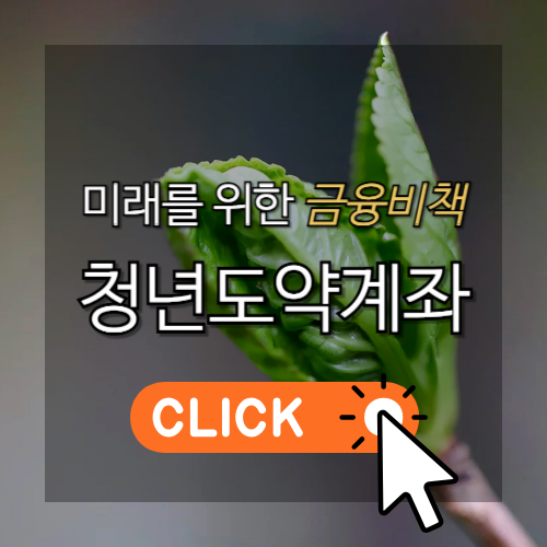 미래를 위한 금융비책, 청년도약계좌 썸네일