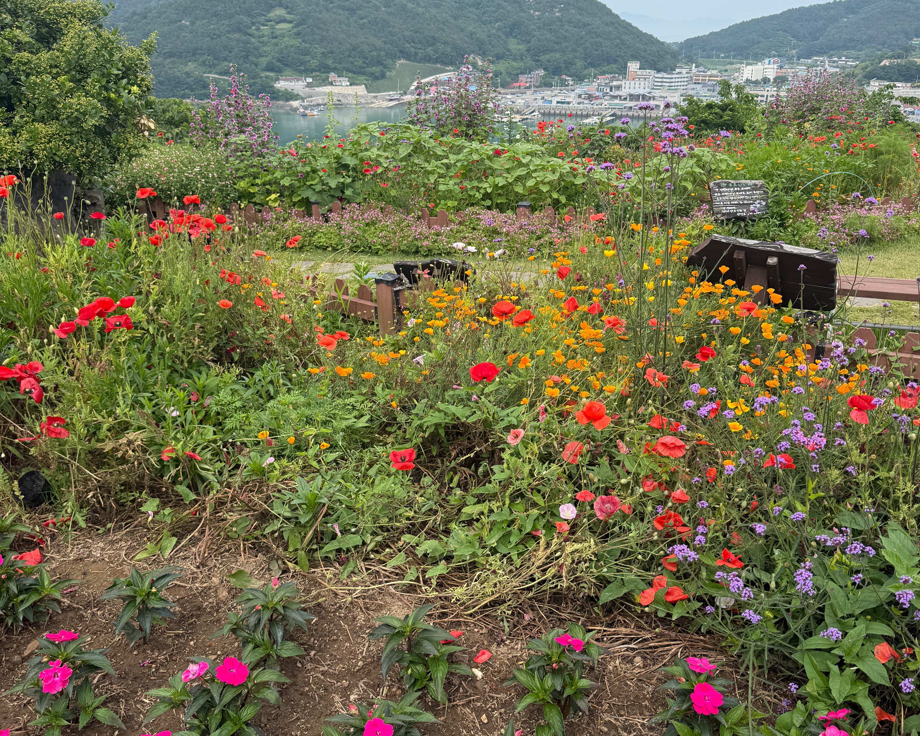 고흥쑥섬