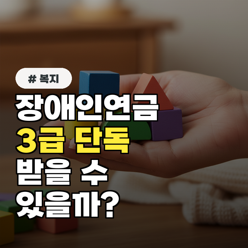 장애인연금 대상, 장애 정도 심하지 않아도 될까