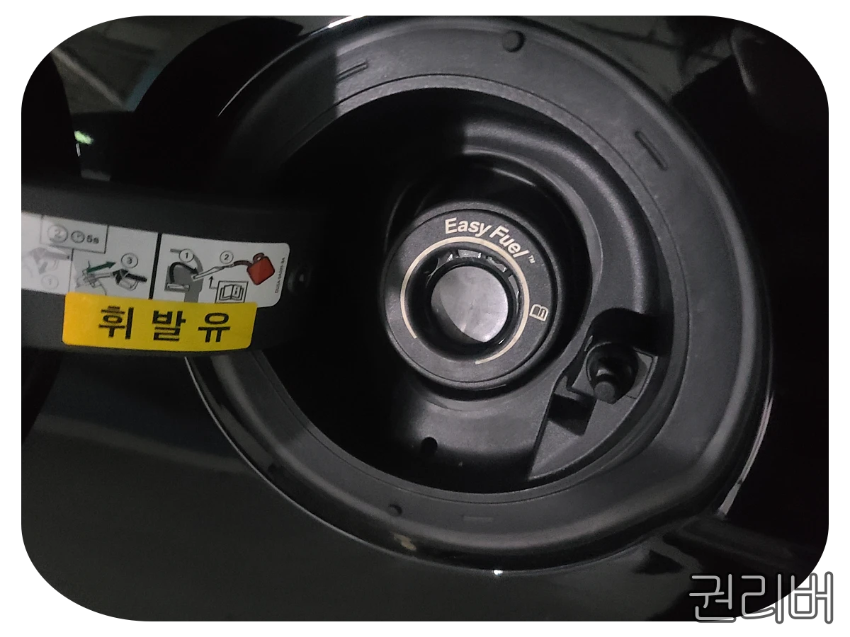 포드-이지-퓨얼-캡리스