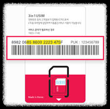 유심 e-SIM 이심