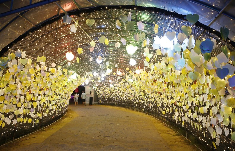 태안 빛축제는 365일 연중무휴로 진행하고 있습니다. 충청남도 최초로 화려하게 조명으로 야간 볼거리를 제공하고 있습니다.