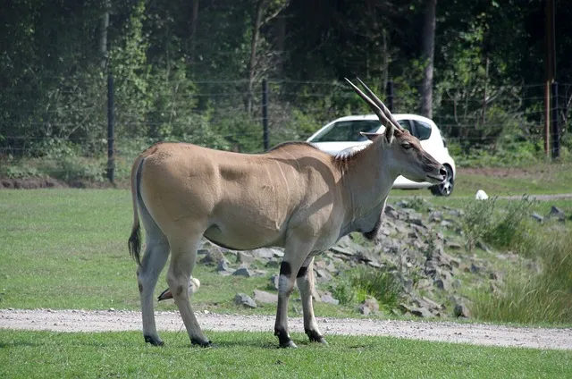 성심당 롯데대전점 케익 무너져 내린 망고시루 한 자리서 뚝딱_6