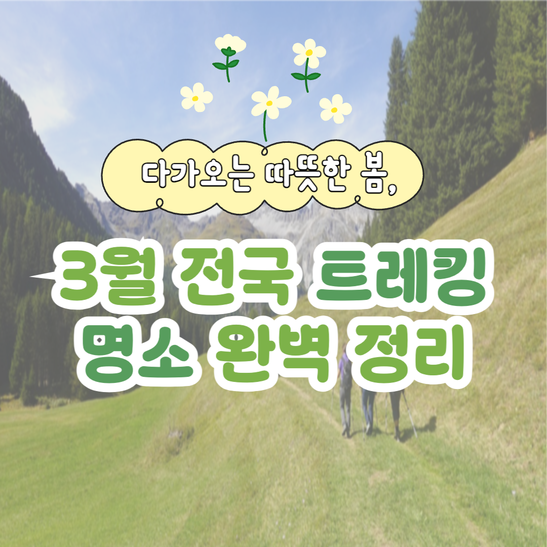 따듯한 봄! 3월 전국 트레킹 명소 완벽 정리 관련 사진