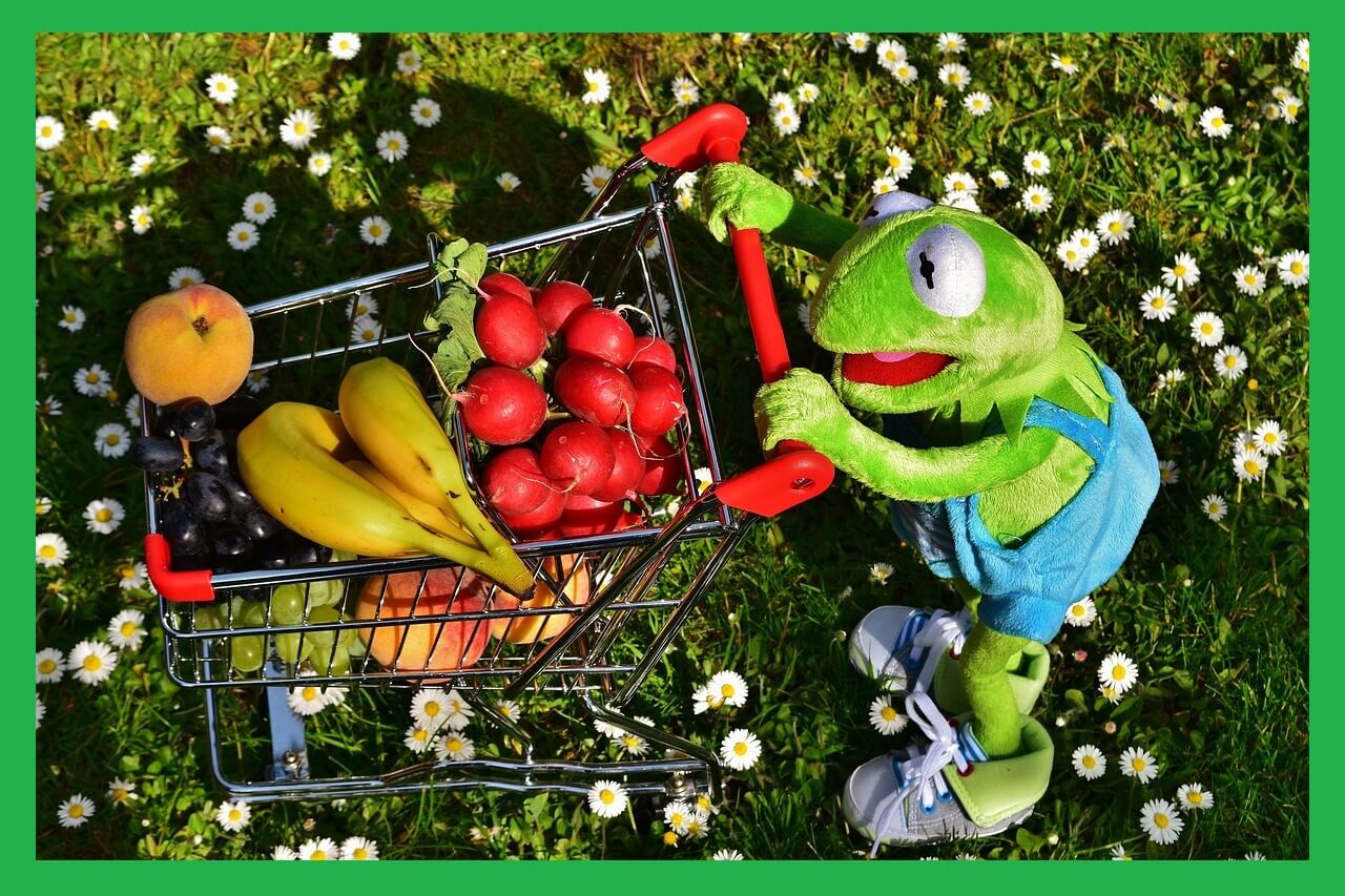 쇼핑카트-끄는-개구리