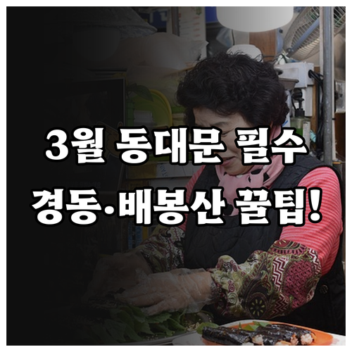 동대문구 3월 가볼만한곳 정리 경동시..