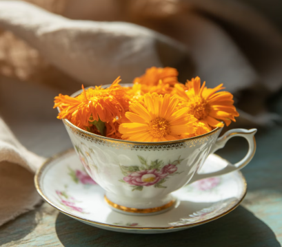 메리골드 꽃차 효능