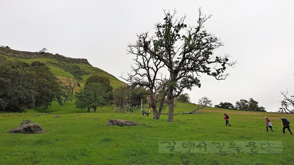 Sunol Regional Wilderness