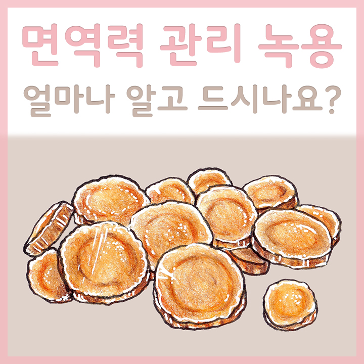 잘린-녹용-모습