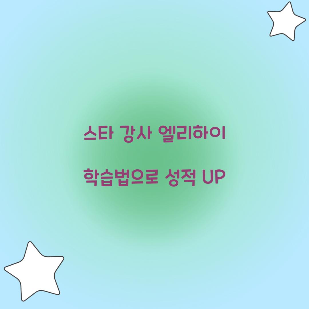 스타 강사 엘리하이 학습법