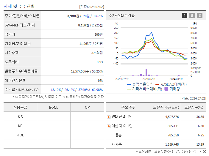 휴맥스홀딩스_기업개요