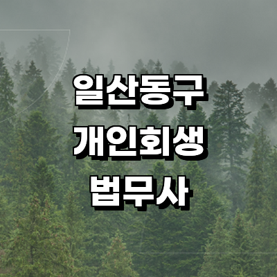 고양 일산동구 개인회생 법무사