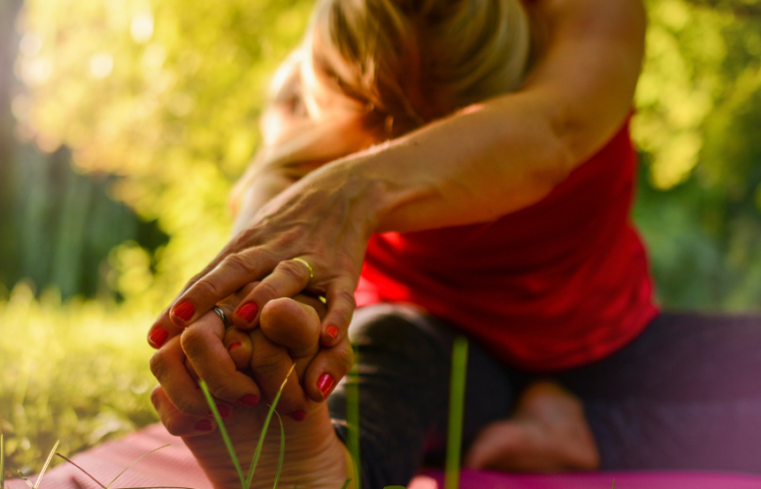 낮 시간대 활동