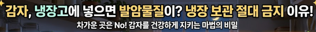 감자 보관법