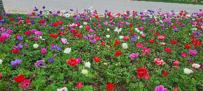 팁페이크로부터벗어나기