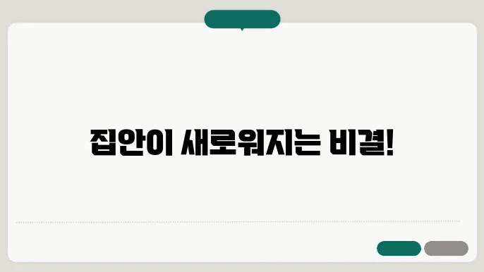 벽지 곰팡이 제거법