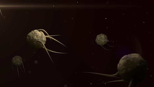 잇몸 염증 치료약 7